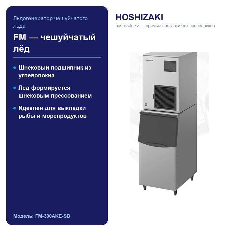 FM-300AKE-SB